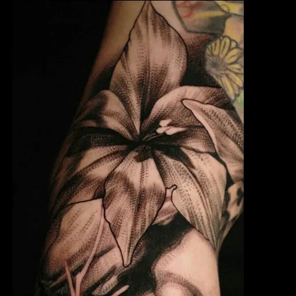 Flower