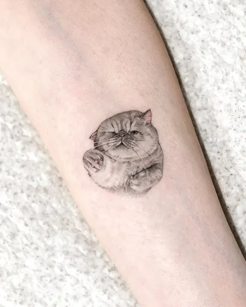 반려동물, 강아지
