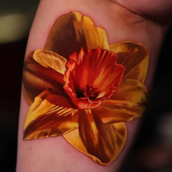 Flower, 국화, 튤립, 수선화, 아이리스, 히비스커스, 백합, 야생화, 양귀비