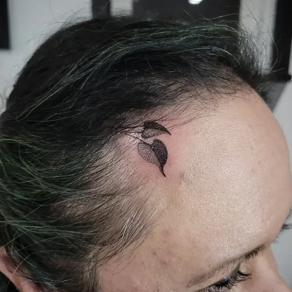 눈 초상, 제3의 눈