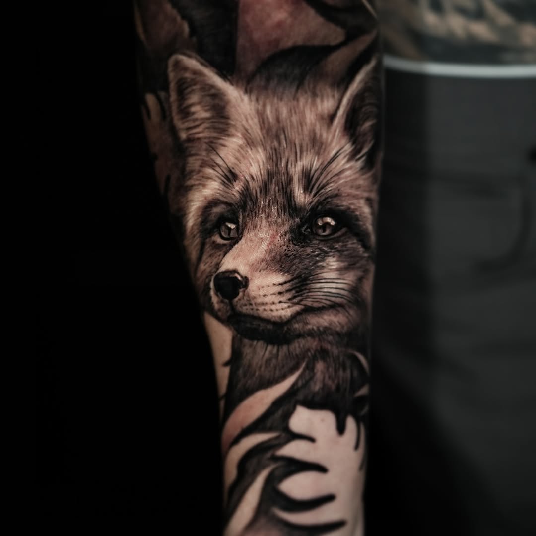 Animal, 여우, 너구리
