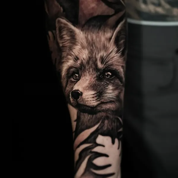 Animal, 여우, 너구리