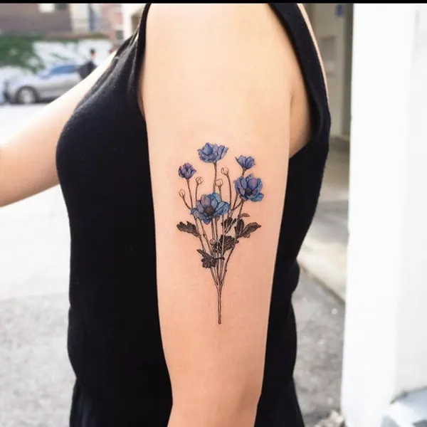 Flower, Rose, 양귀비
