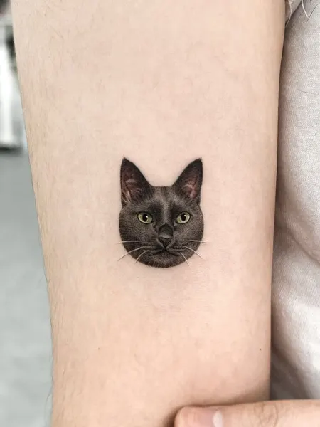 고양이, 여우 가면