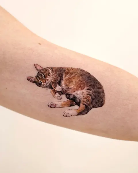 고양이, 반려동물