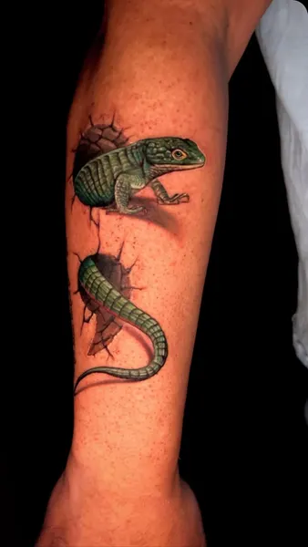 Dragon, 악어, 도마뱀