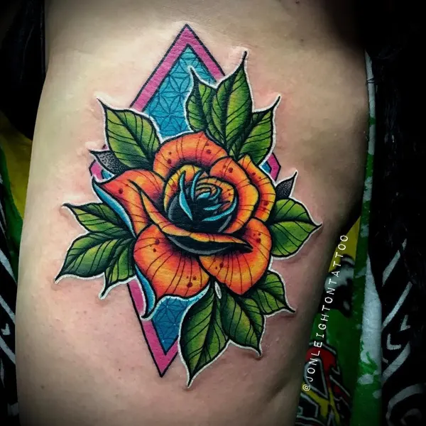 Flower, Rose, Nature