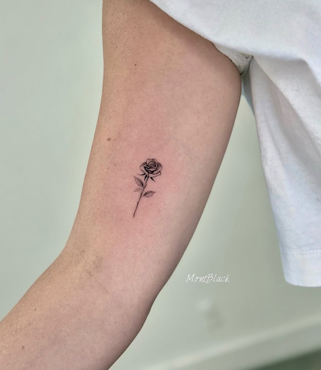 Flower, Rose, 민화, 단청, 오니, 풍신, 한글, 해태, 염소자리, 전갈자리, 작은 타투, 눈물, 게자리, 초소형 타투