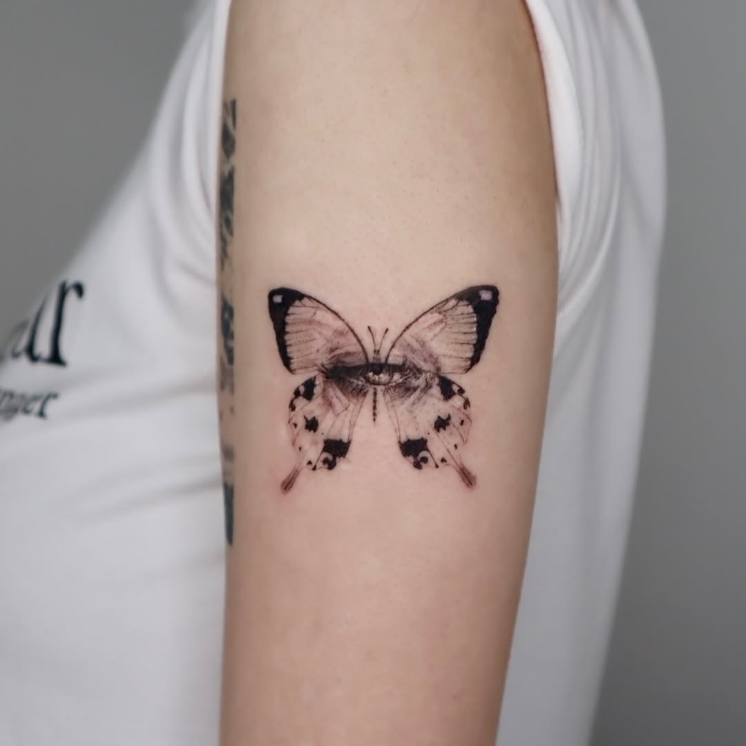 Animal, Nature, 나방
