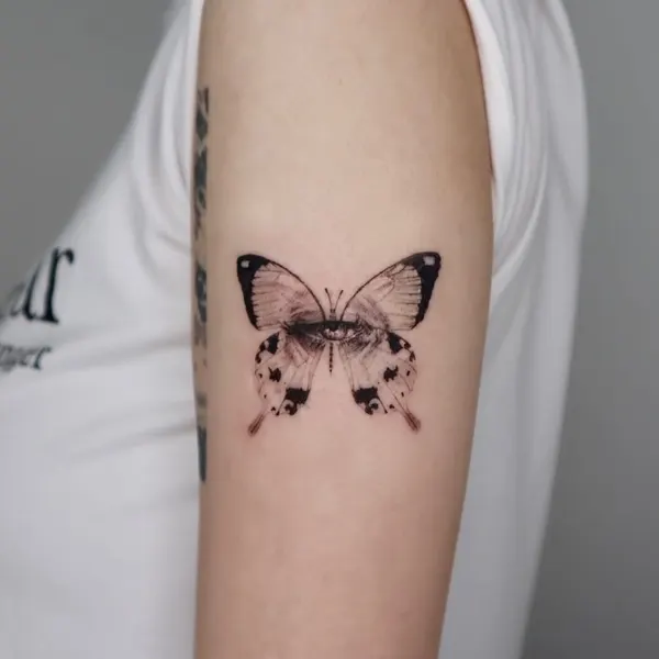 Animal, Nature, 나방