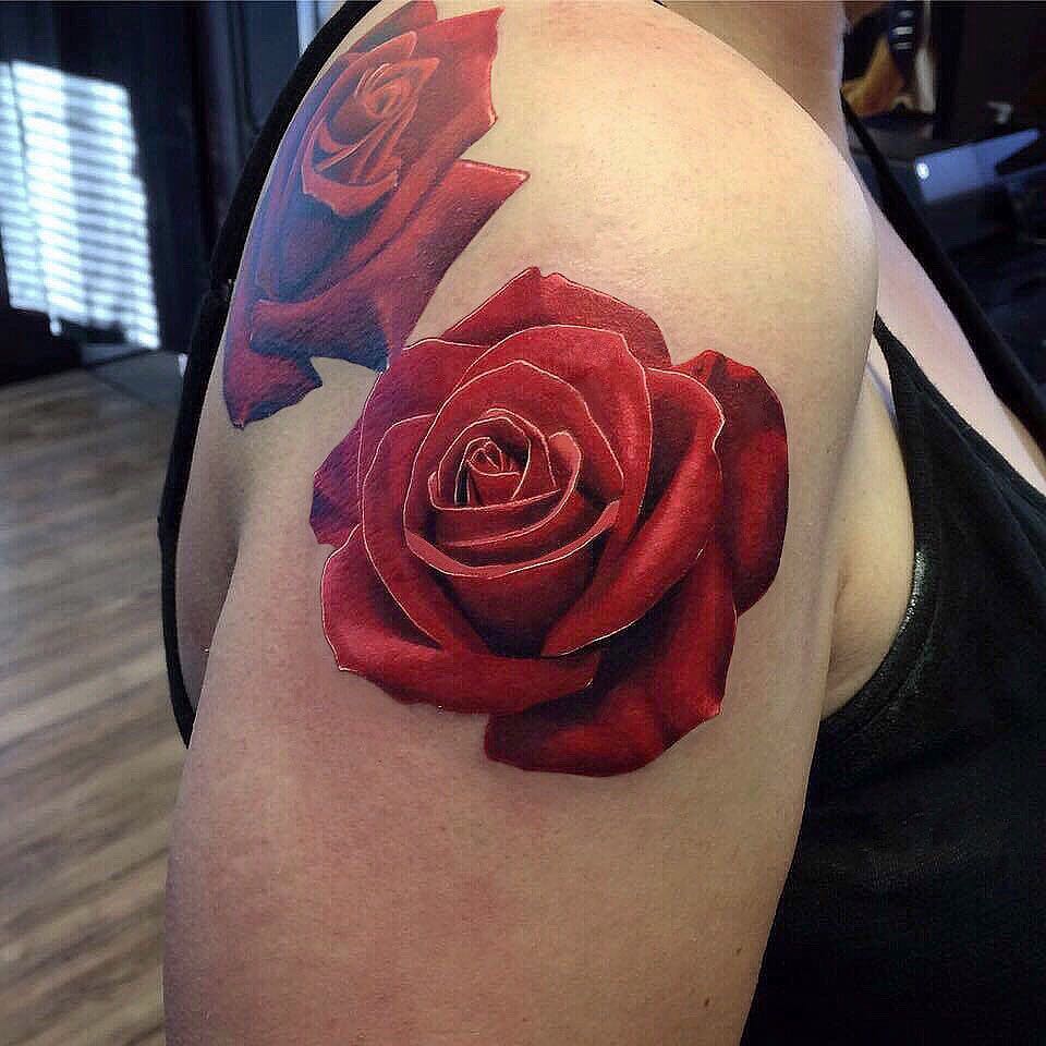 Flower, Nature, Rose