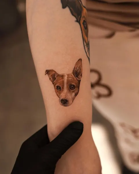 soltattoo