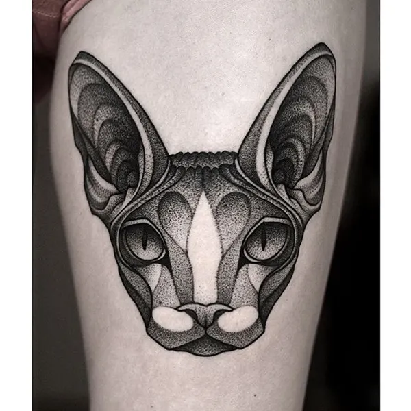 Animal