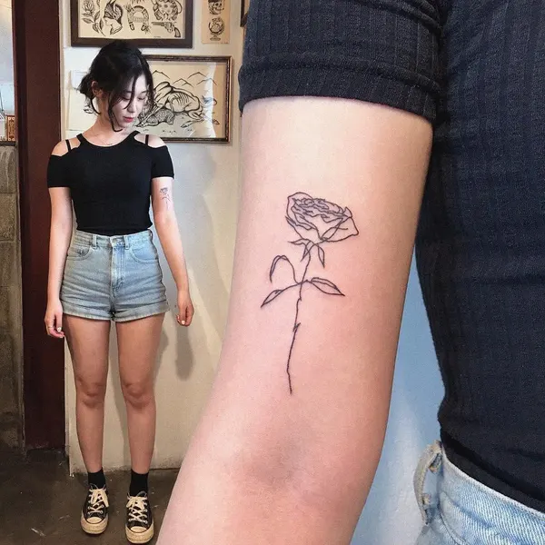 Flower, Rose