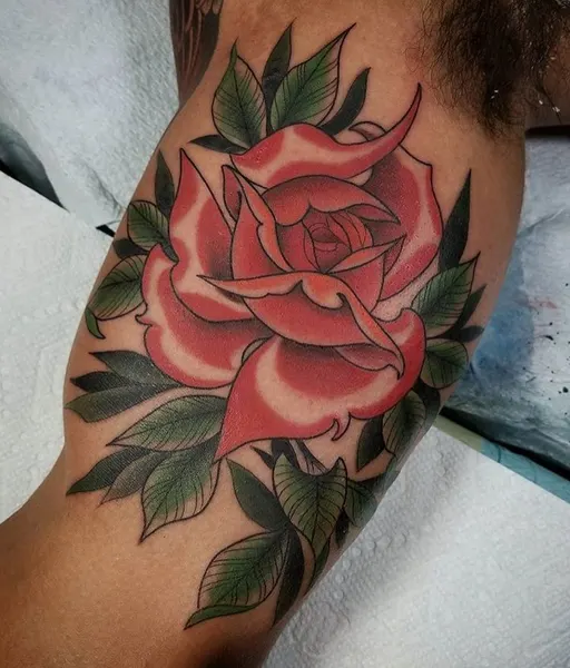 Flower, Rose