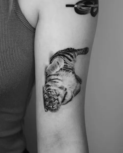 Tiger, 중국 호랑이, 일본 호랑이