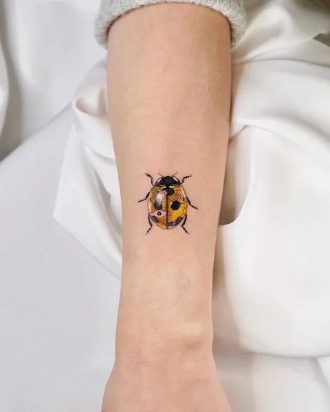 Animal, Mini, 무당벌레