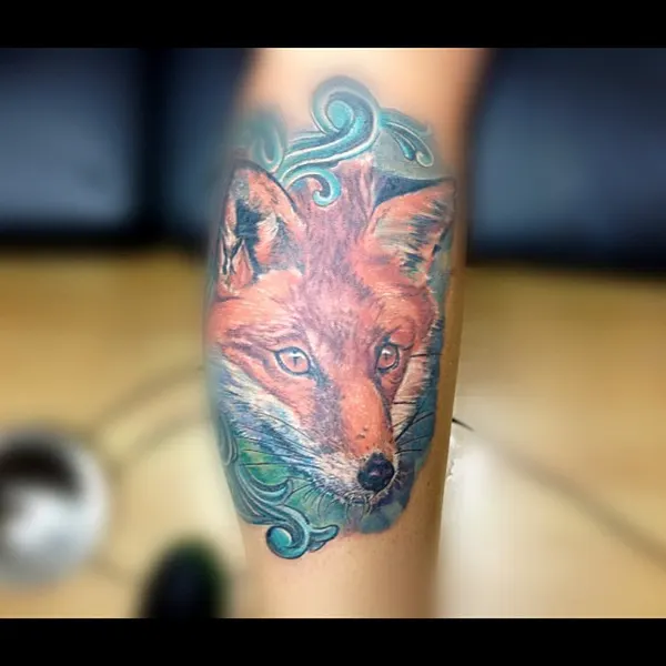 Animal, 여우