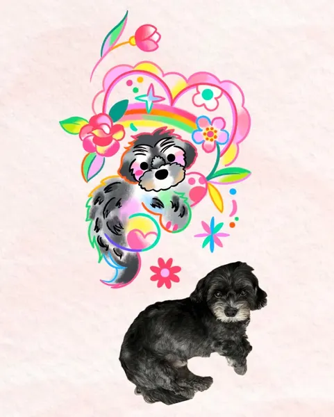 Animal