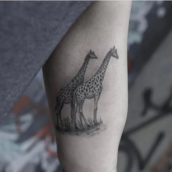Animal, 나무늘보