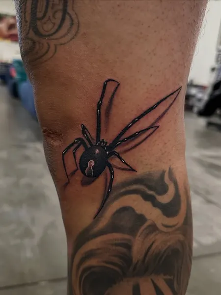 Animal, 거미
