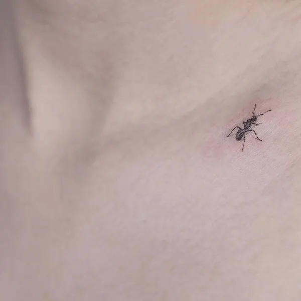 soltattoo