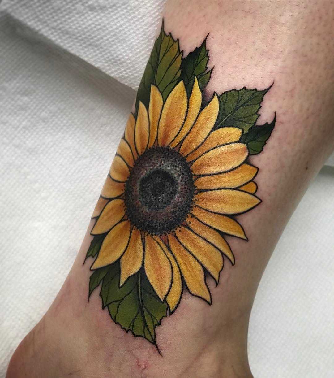 Flower, 국화, 해바라기, 데이지, 수선화