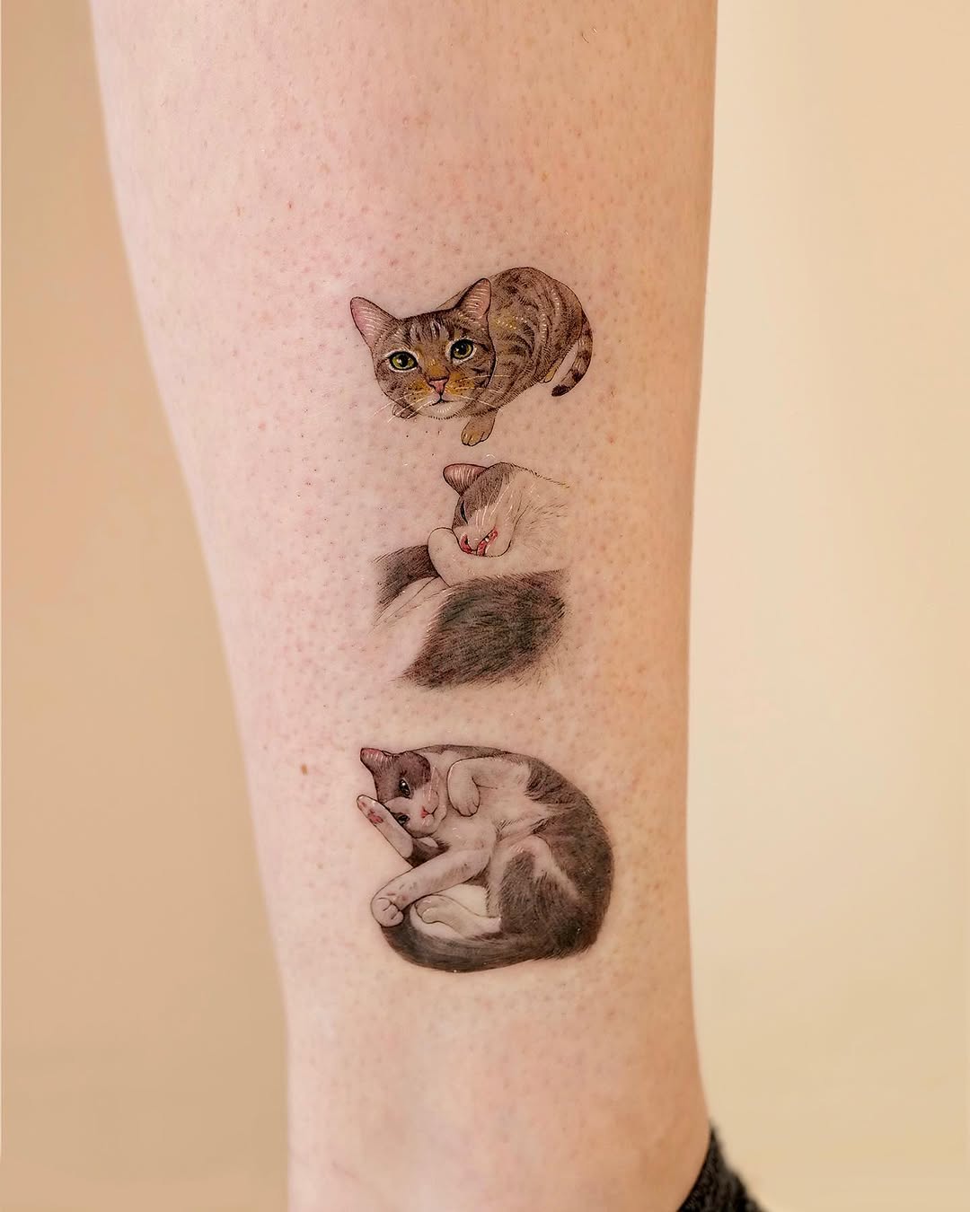 paw.tattoo