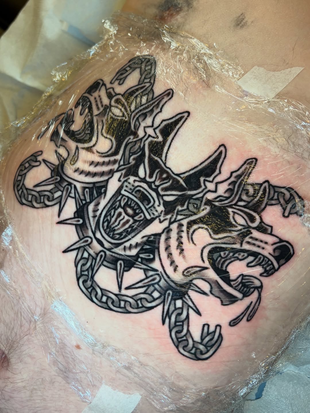 Dragon