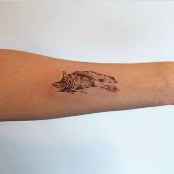 멧돼지, Animal