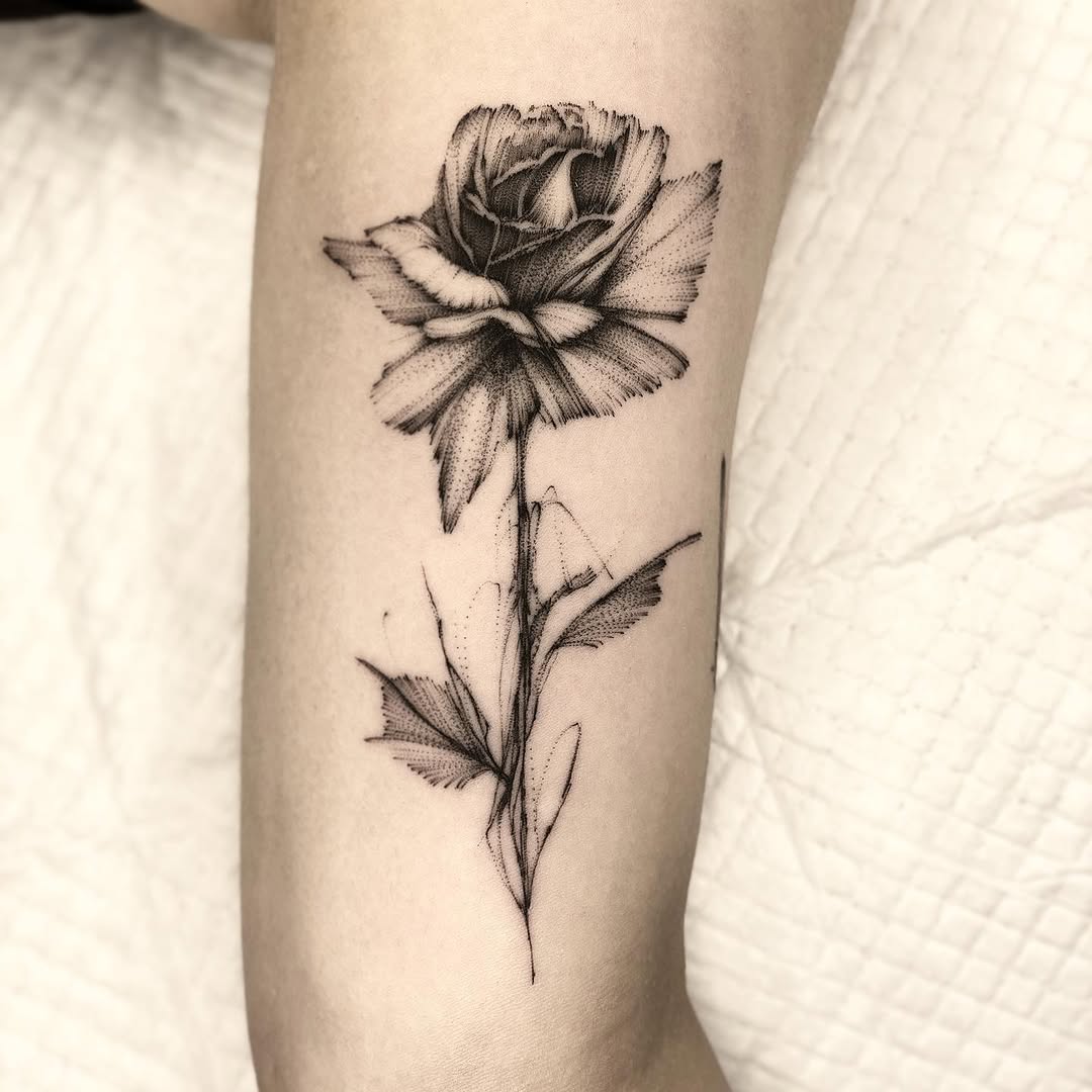 Flower, Rose