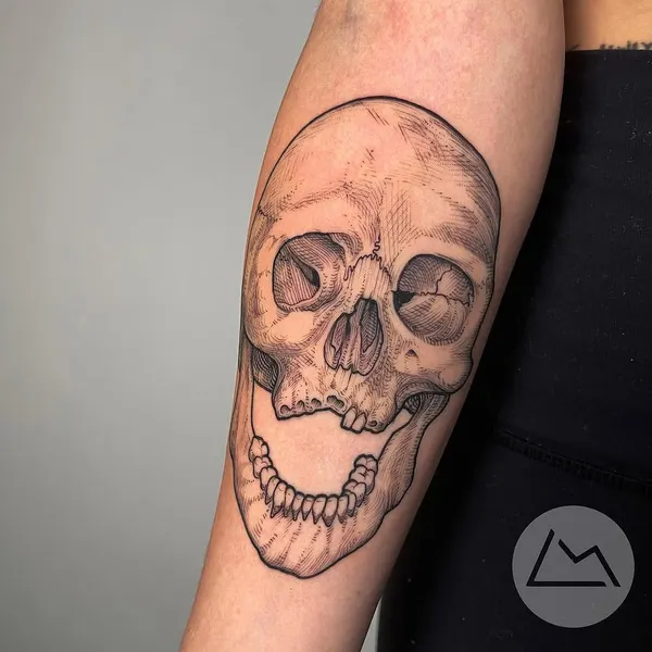 뼈, Skull