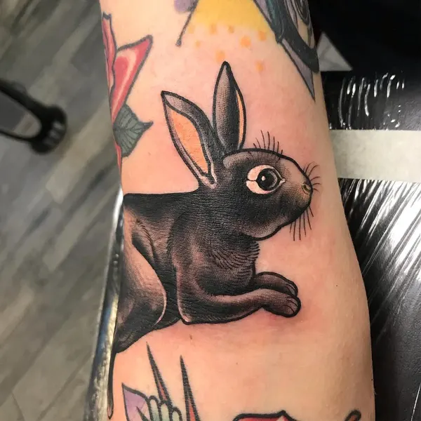 Animal, 토끼