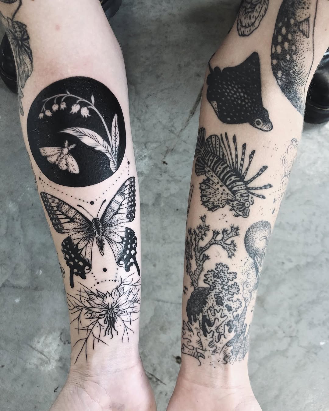 Animal, Nature