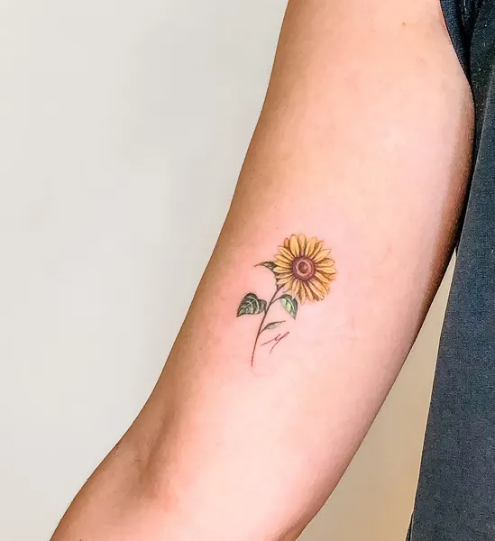 Lettering, 야생화, 올리브 가지, 수선화, 카네이션, 해바라기