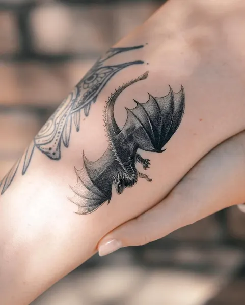Dragon, 깃털, 날개, 까마귀, 발키리, 불사조, 일본 학, 한국 학, 천사 날개