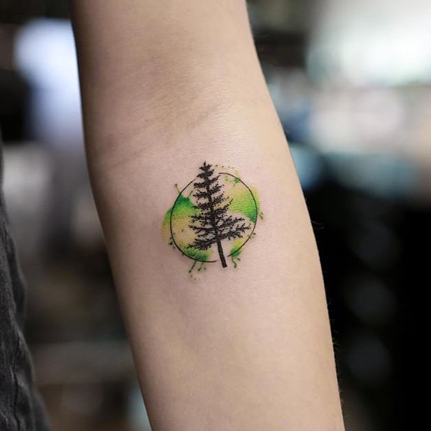 잎, Nature, 숲, 풀, 고사리, 대나무, 소나무, 은행잎