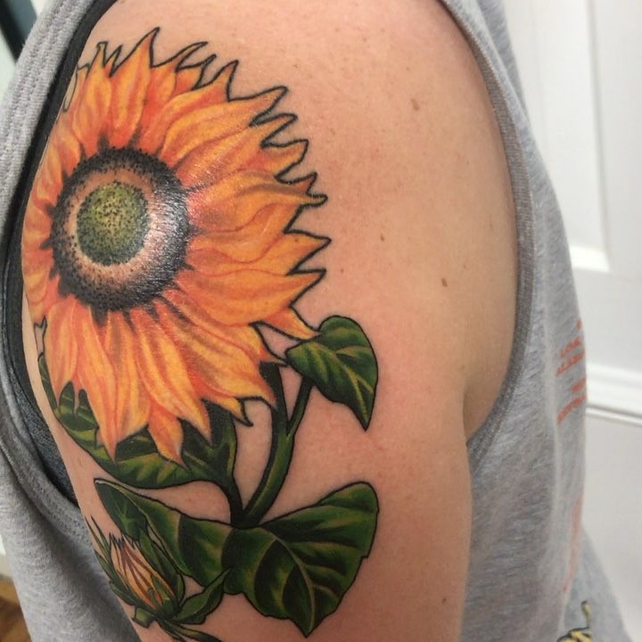 Flower, 해바라기