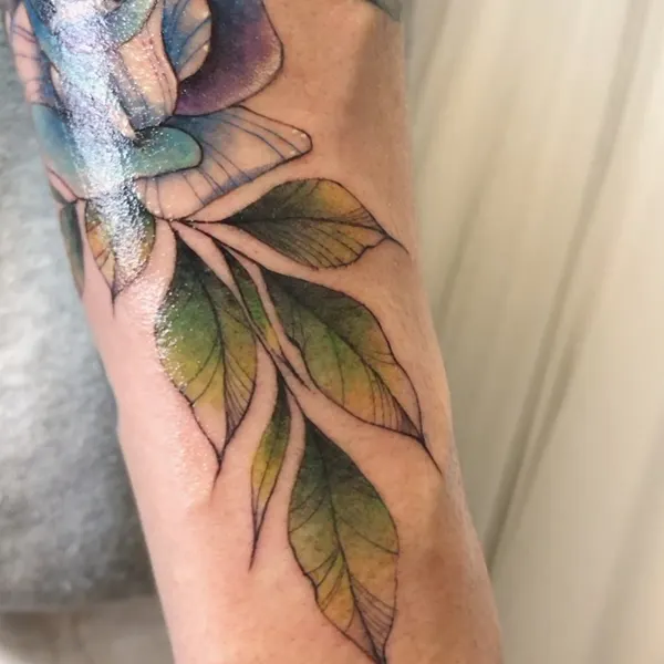 Rose, Flower