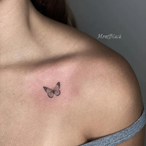 Animal, 제비, 천사 날개, 비둘기