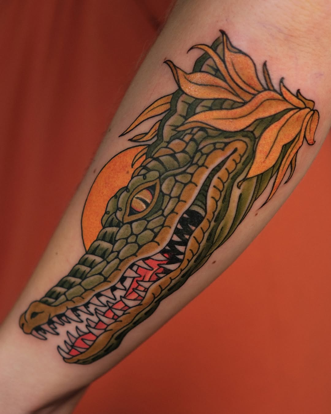 Dragon, 악어