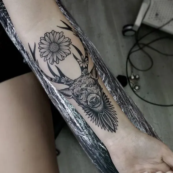 equilattera