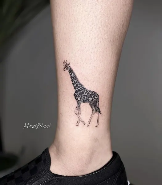 Animal