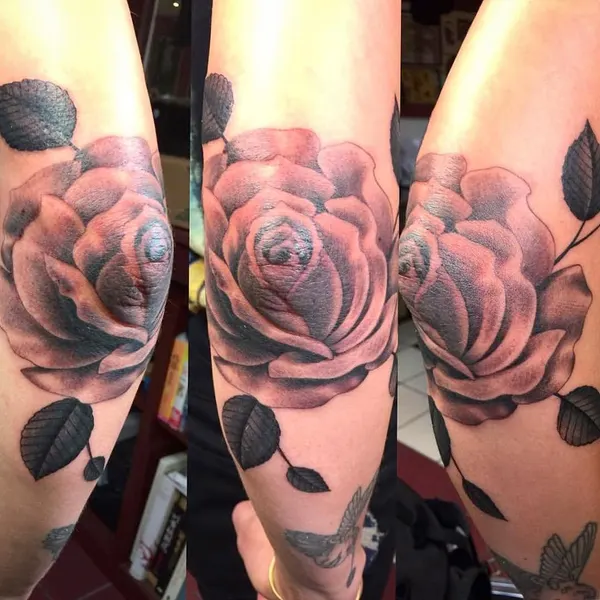 Flower, Rose