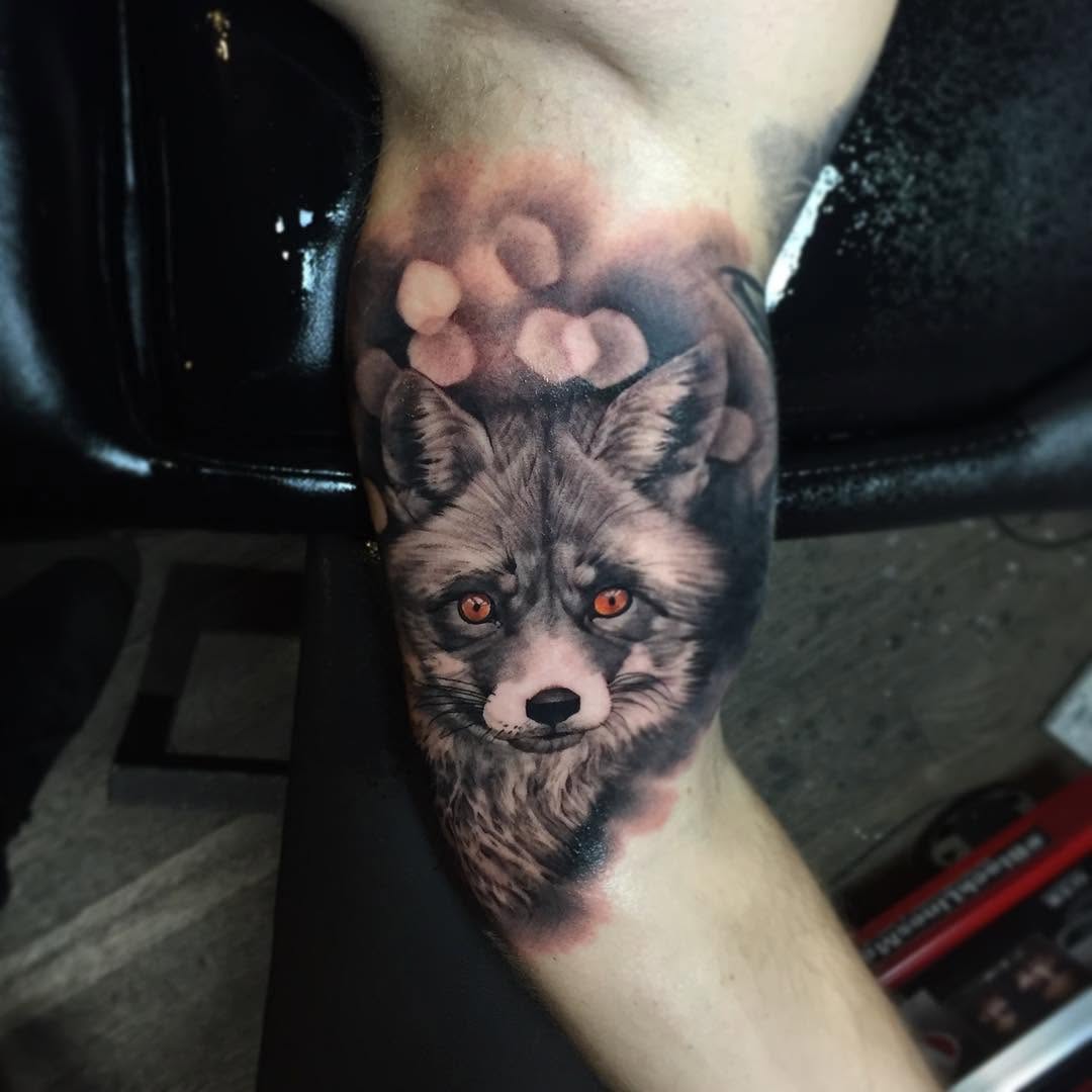 Animal