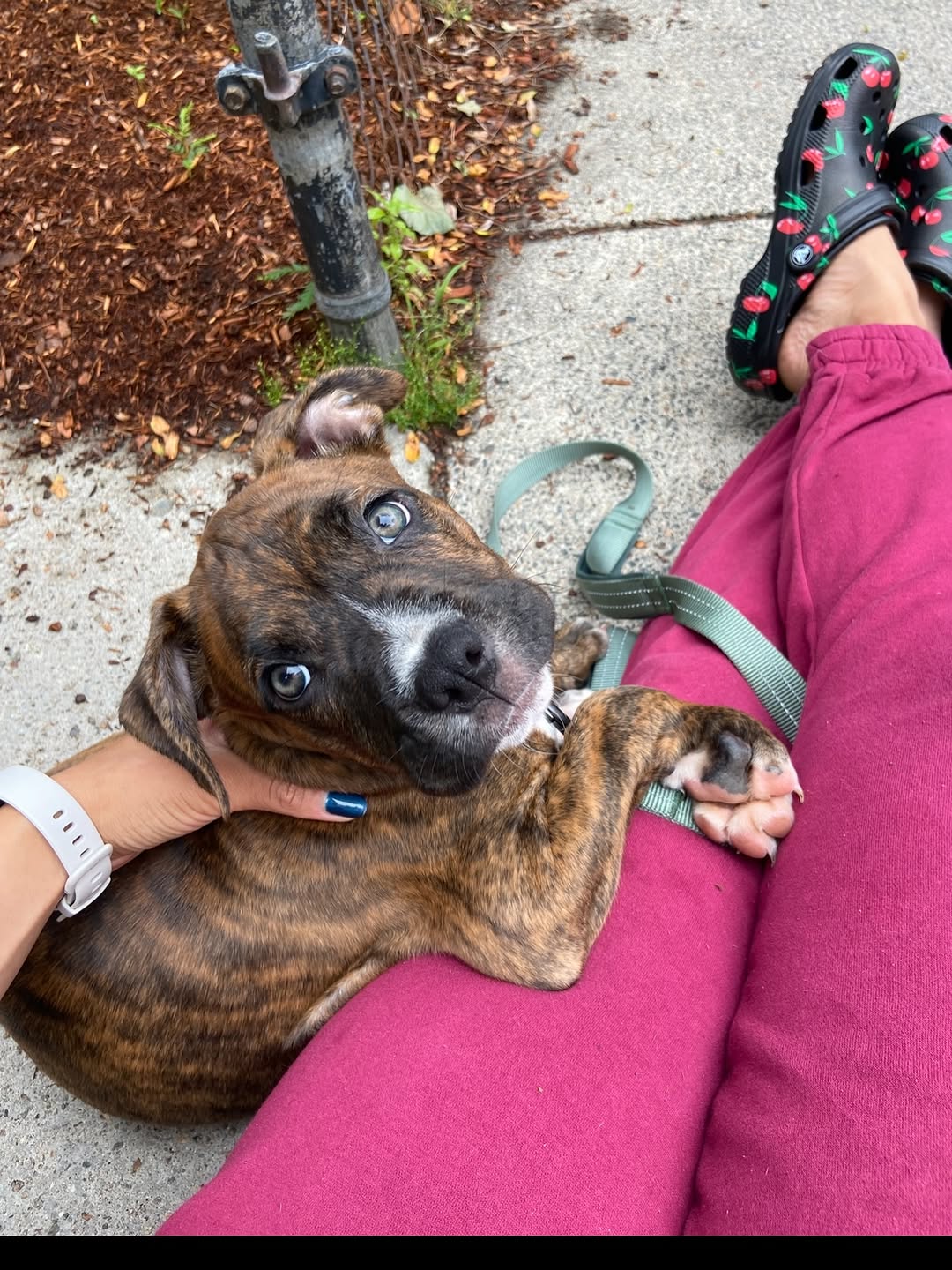 Hannah Kang