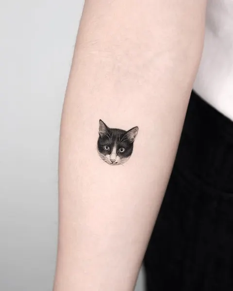 여우 가면, 고양이