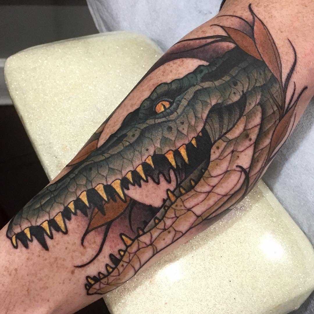 Dragon, 악어
