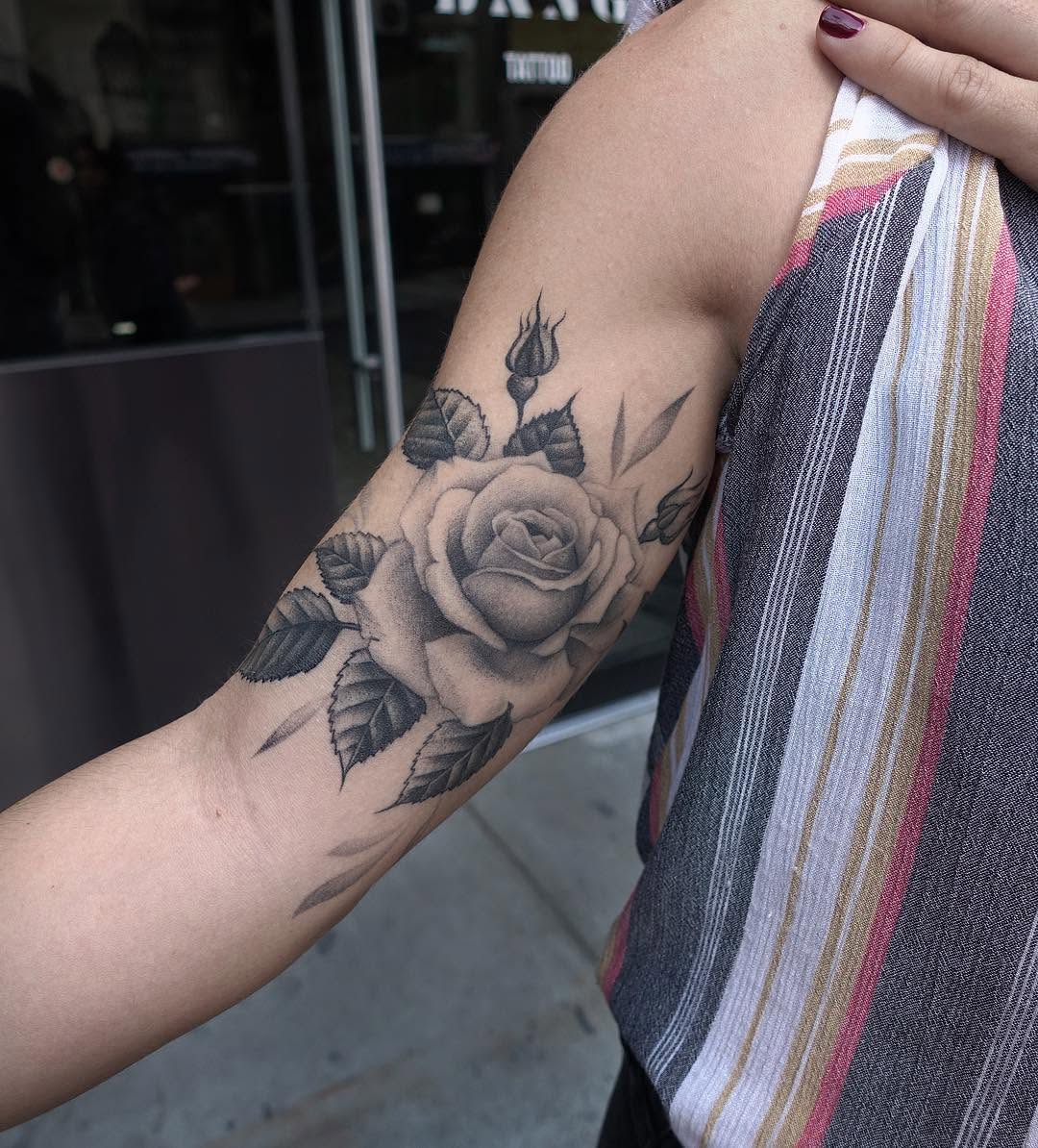 Flower, Rose, Nature