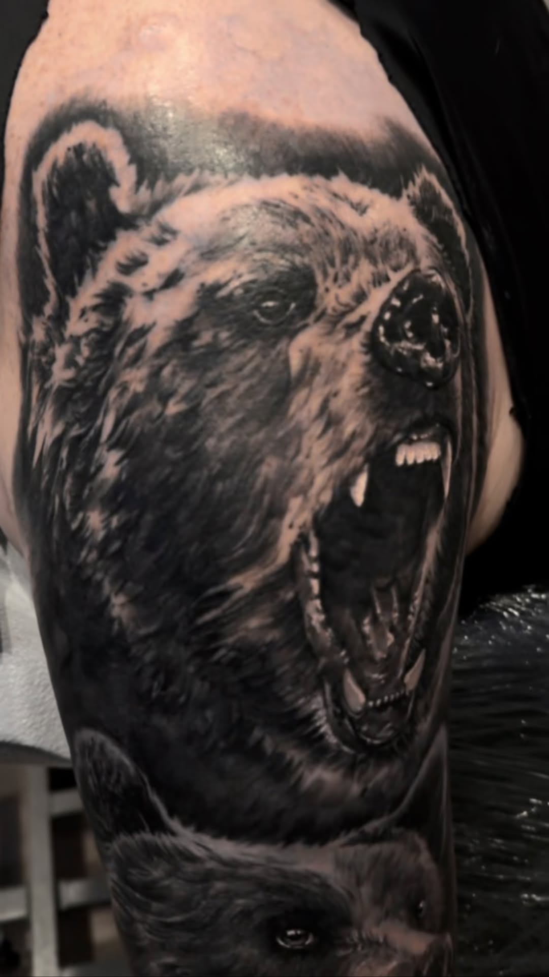 Animal, 고릴라